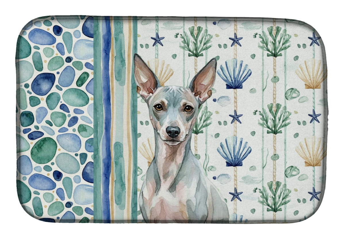 Picture of Carolines Treasures WDK6878DDM 21 x 14 in. American Hairless Terrier Coastal Sea Glass Dish Drying Mat
