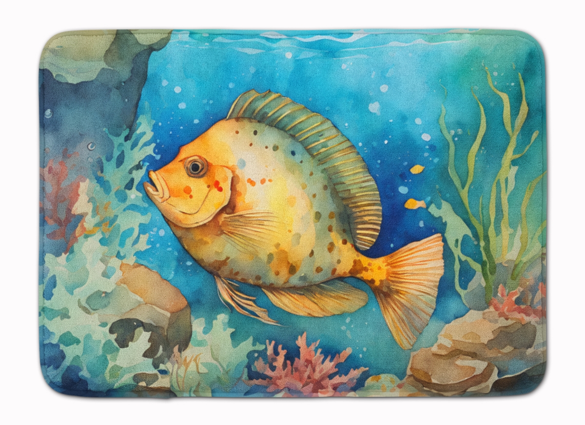 DAC2787RUG 19 x 27 in. Flounder Memory Foam Kitchen Mat