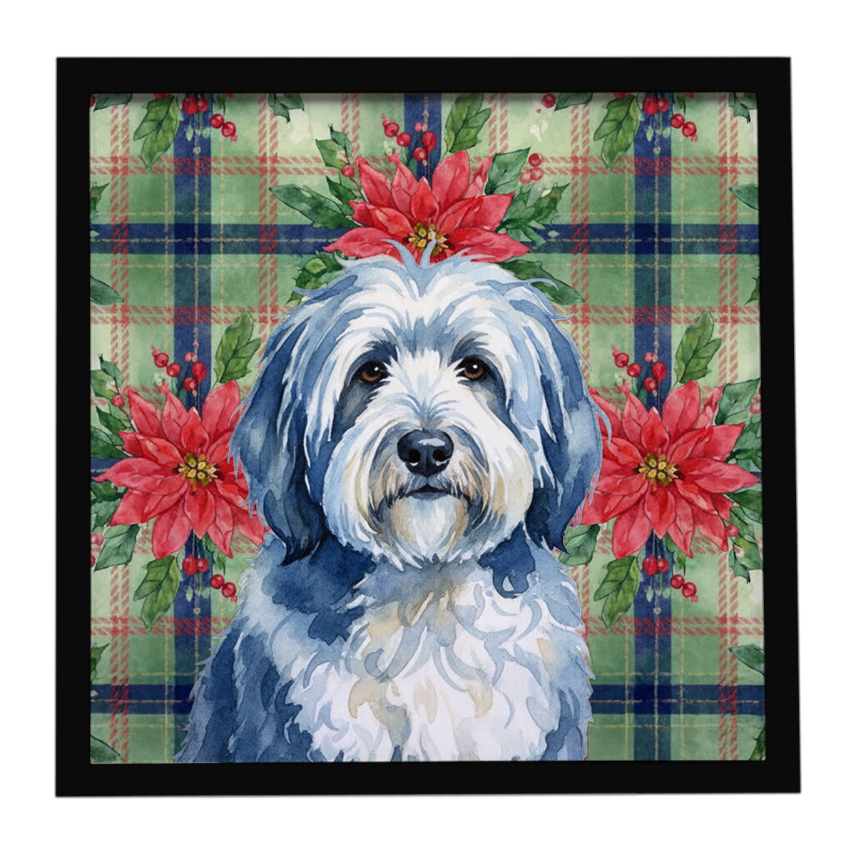 WDK8736MFP88 8 x 8 in. Blue & White Old English Sheepdog Christmas Poinsettias Framed Metal Print