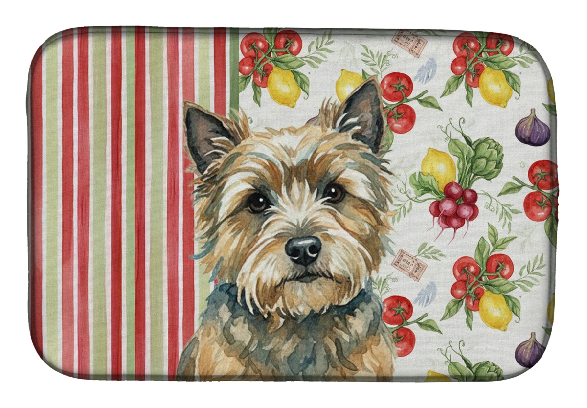 Picture of Carolines Treasures WDK8156DDM 21 x 14 in. Cairn Terrier Vegetables Dish Drying Mat