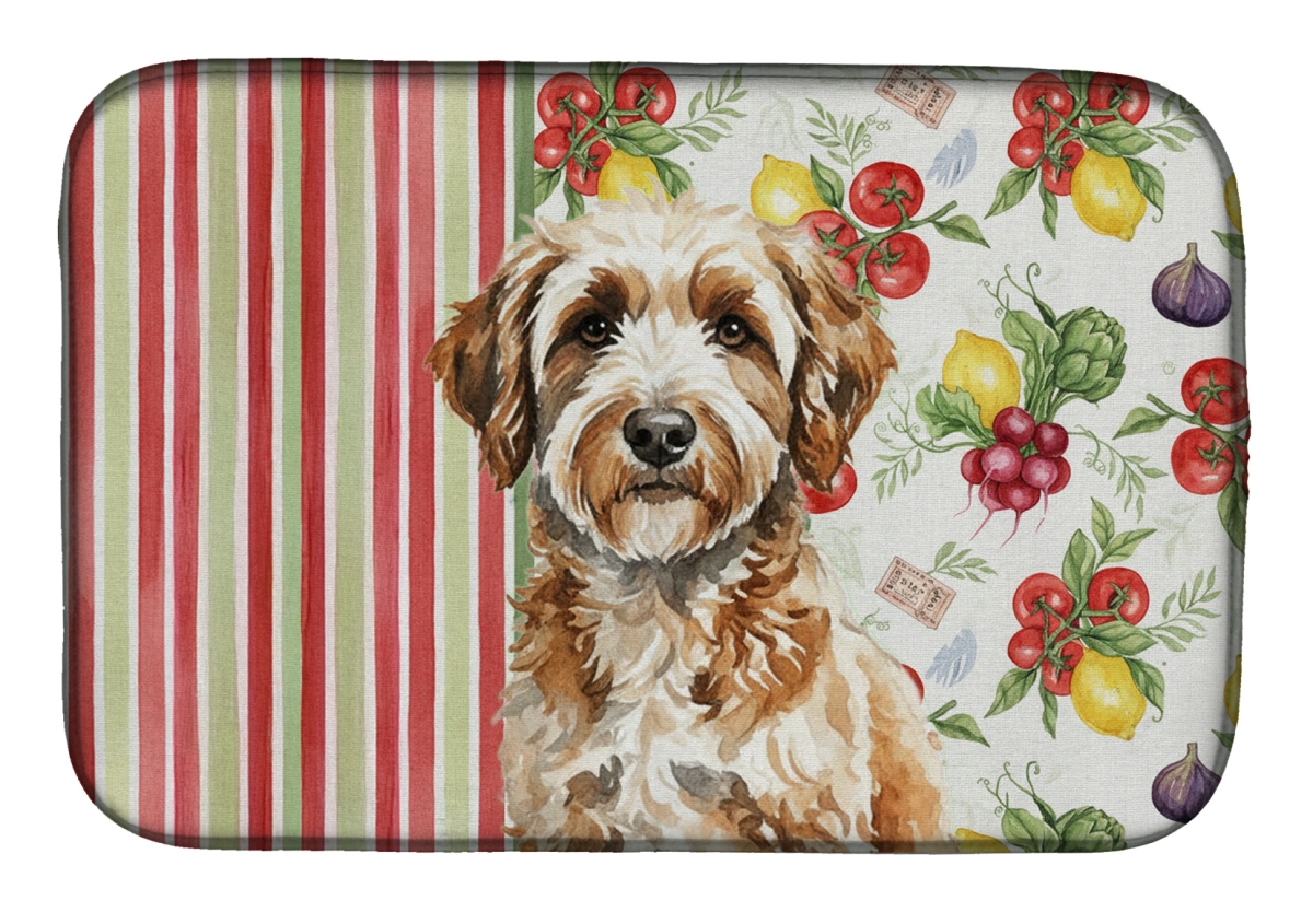 Picture of Carolines Treasures WDK8295DDM 21 x 14 in. Lagotto Romagnolo Vegetables Dish Drying Mat