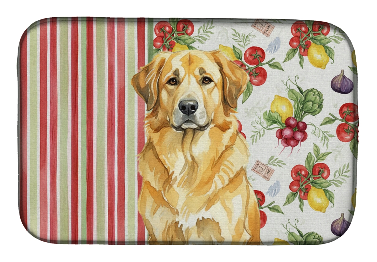 Picture of Carolines Treasures WDK8298DDM 21 x 14 in. Lion Yellow Leonberger Vegetables Dish Drying Mat
