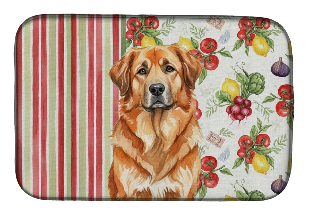 Picture of Carolines Treasures WDK8299DDM 21 x 14 in. Red Leonberger Vegetables Dish Drying Mat