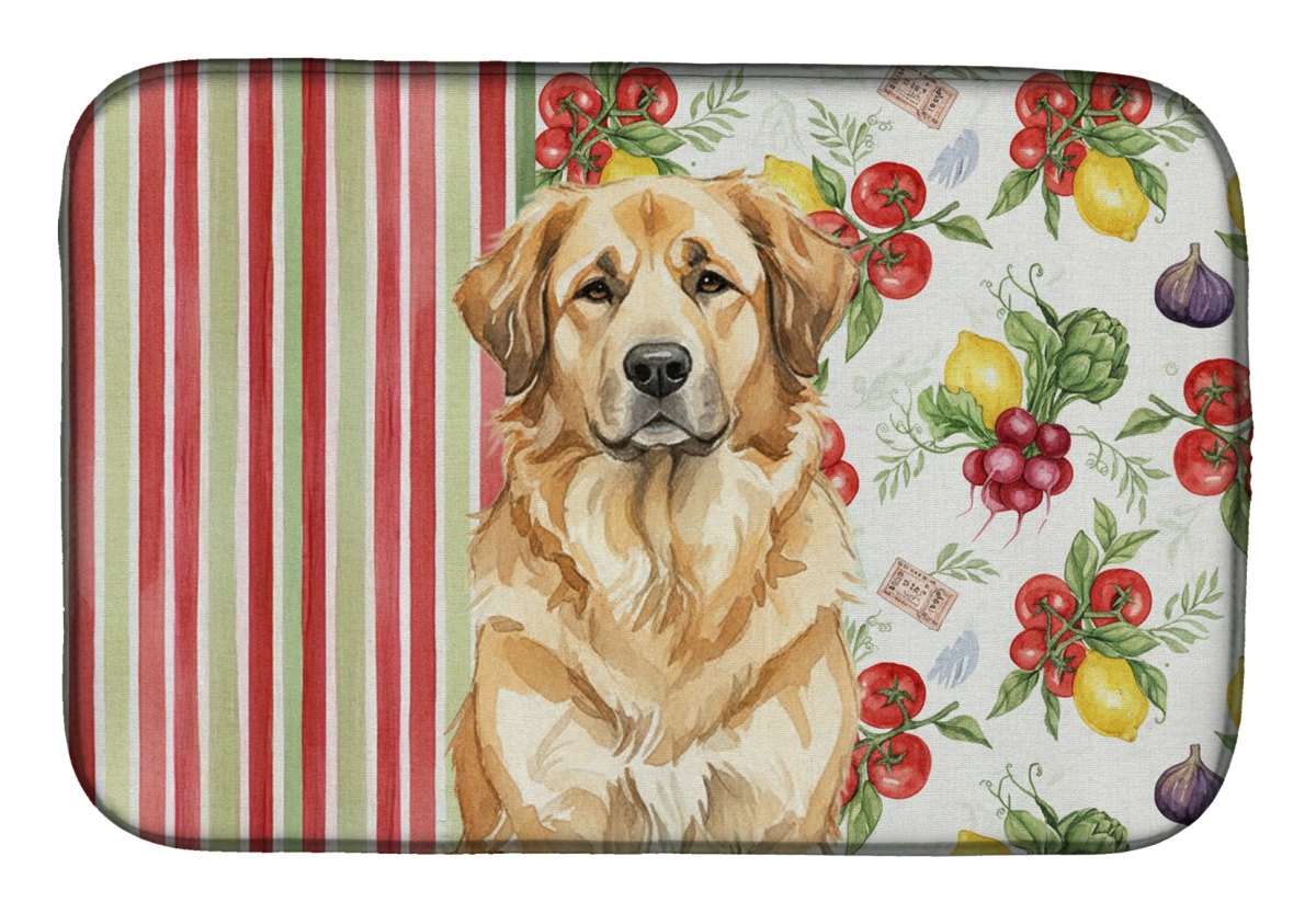 Picture of Carolines Treasures WDK8300DDM 21 x 14 in. Sandy Leonberger Vegetables Dish Drying Mat