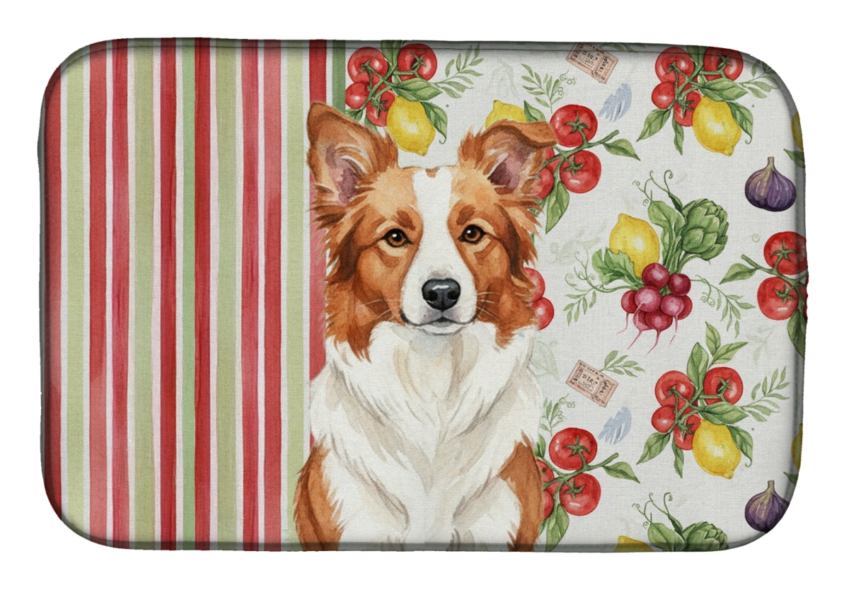 Picture of Carolines Treasures WDK8124DDM 21 x 14 in. Red & White Border Collie Vegetables Dish Drying Mat