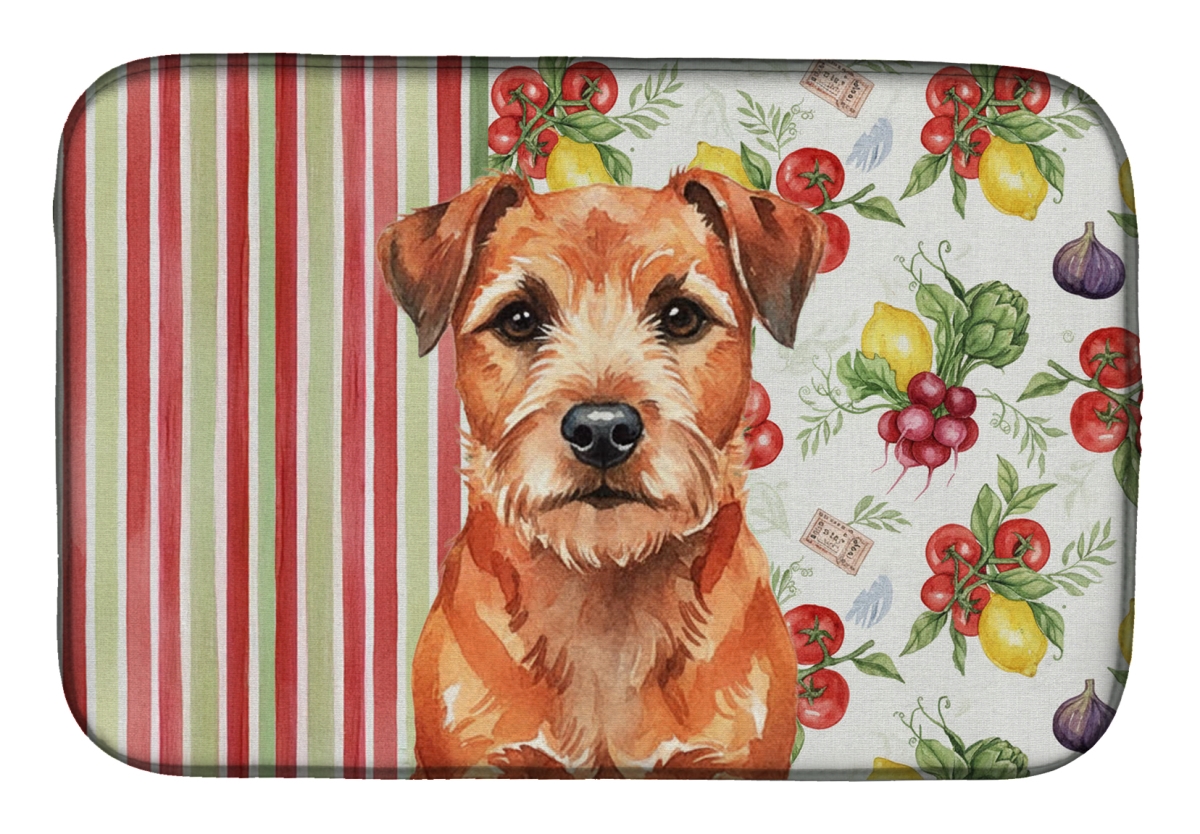 Picture of Carolines Treasures WDK8127DDM 21 x 14 in. Red Border Terrier Vegetables Dish Drying Mat