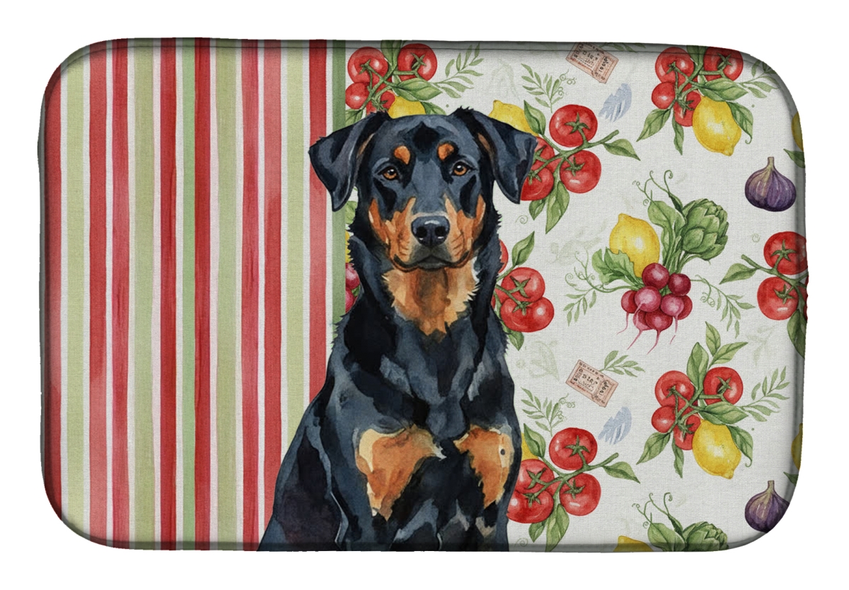 Picture of Carolines Treasures WDK8106DDM 21 x 14 in. Beauceron Vegetables Dish Drying Mat
