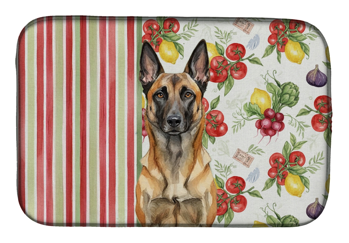 Picture of Carolines Treasures WDK8108DDM 21 x 14 in. Belgian Malinois Vegetables Dish Drying Mat