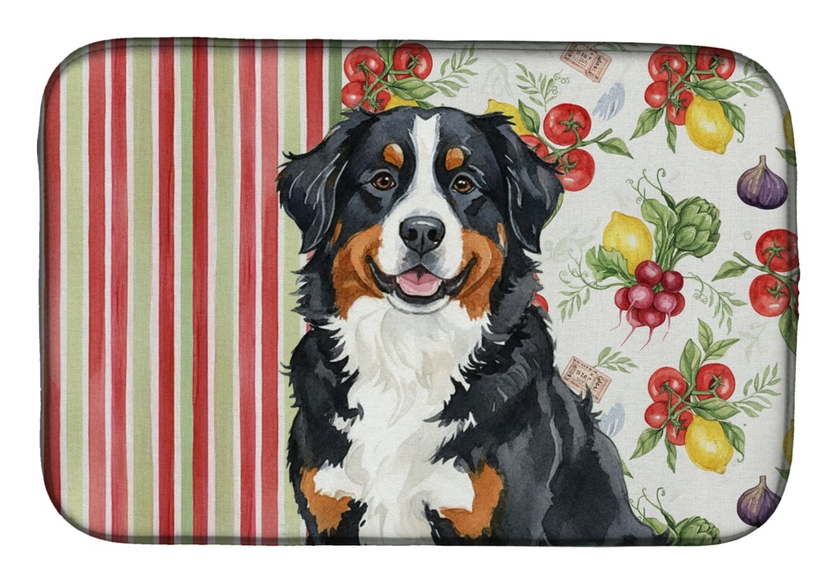 Picture of Carolines Treasures WDK8113DDM 21 x 14 in. Bernese Mountain Dog Vegetables Dish Drying Mat