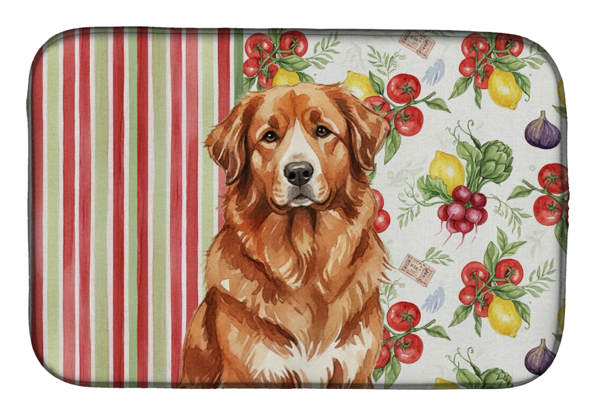 Picture of Carolines Treasures WDK8257DDM 21 x 14 in. Reddish Brown Great Pyrenees Vegetables Dish Drying Mat