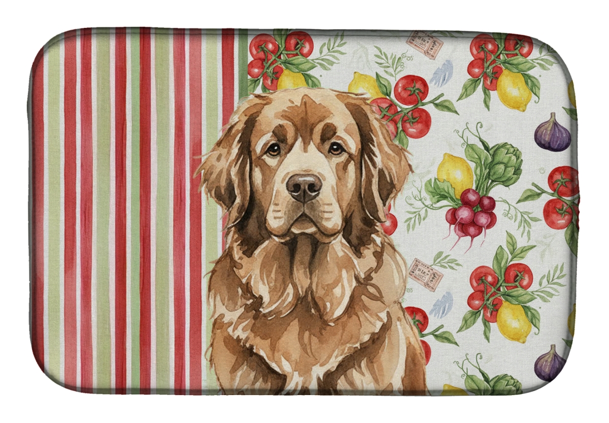 Picture of Carolines Treasures WDK8325DDM 21 x 14 in. Brown  foundland Vegetables Dish Drying Mat