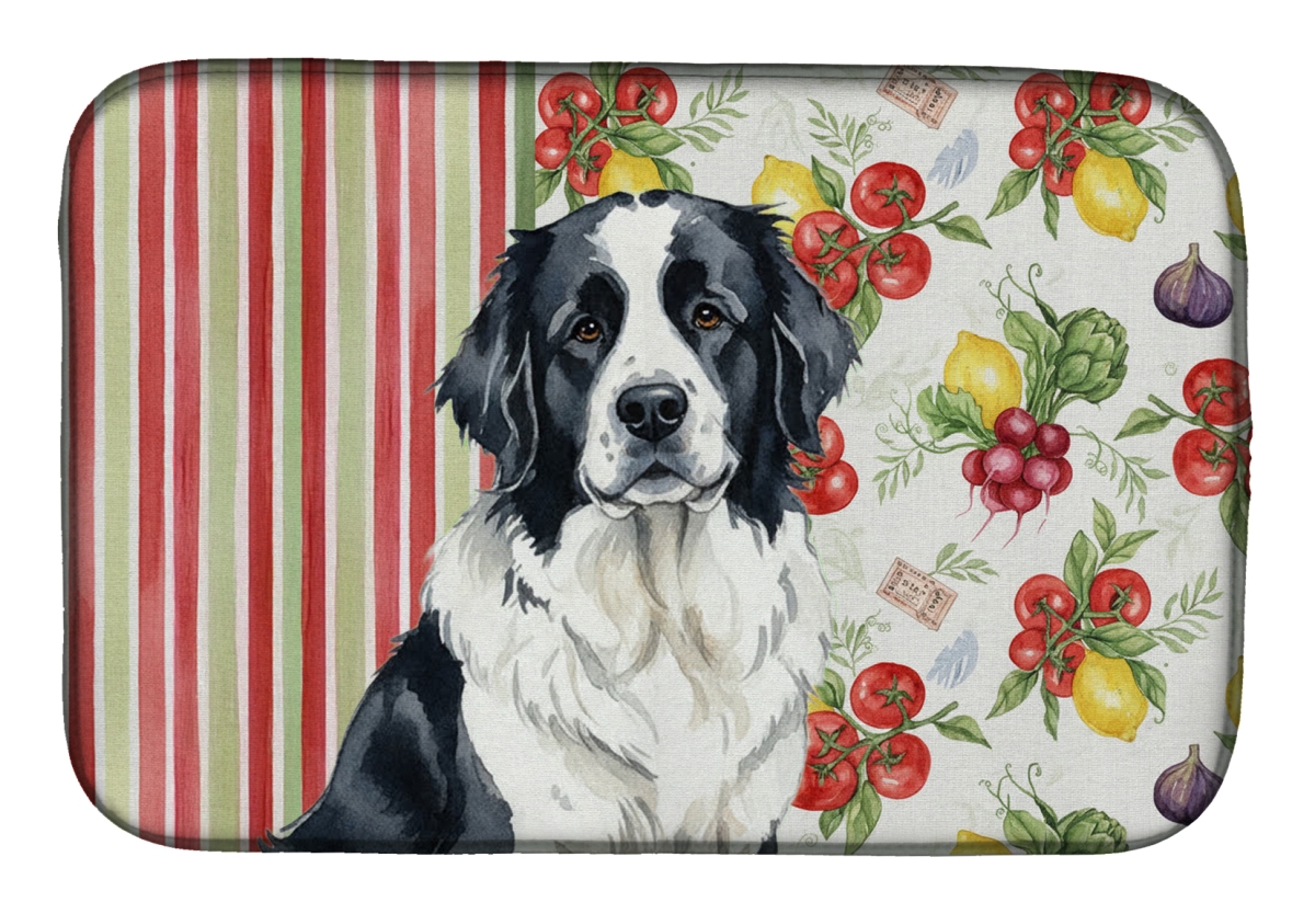 Picture of Carolines Treasures WDK8327DDM 21 x 14 in. Landseer  foundland Vegetables Dish Drying Mat
