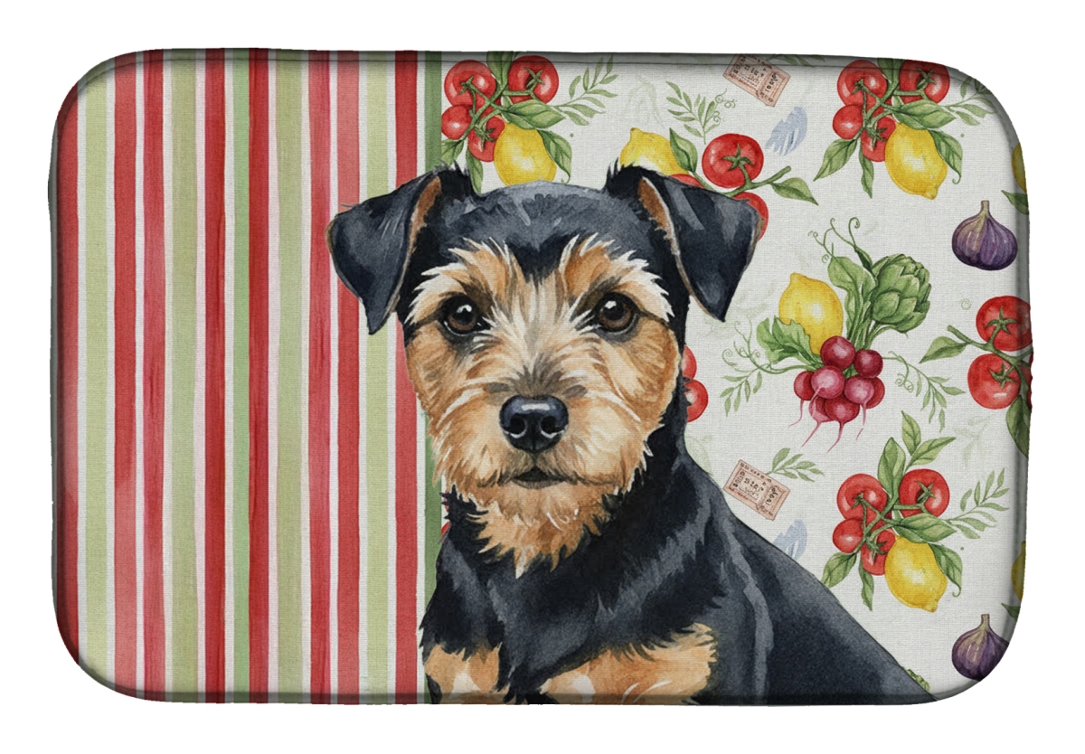 Picture of Carolines Treasures WDK8328DDM 21 x 14 in. Black & Tan Norfolk Terrier Vegetables Dish Drying Mat