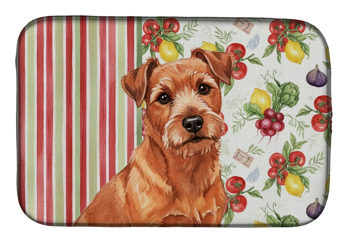 Picture of Carolines Treasures WDK8330DDM 21 x 14 in. Red Norfolk Terrier Vegetables Dish Drying Mat