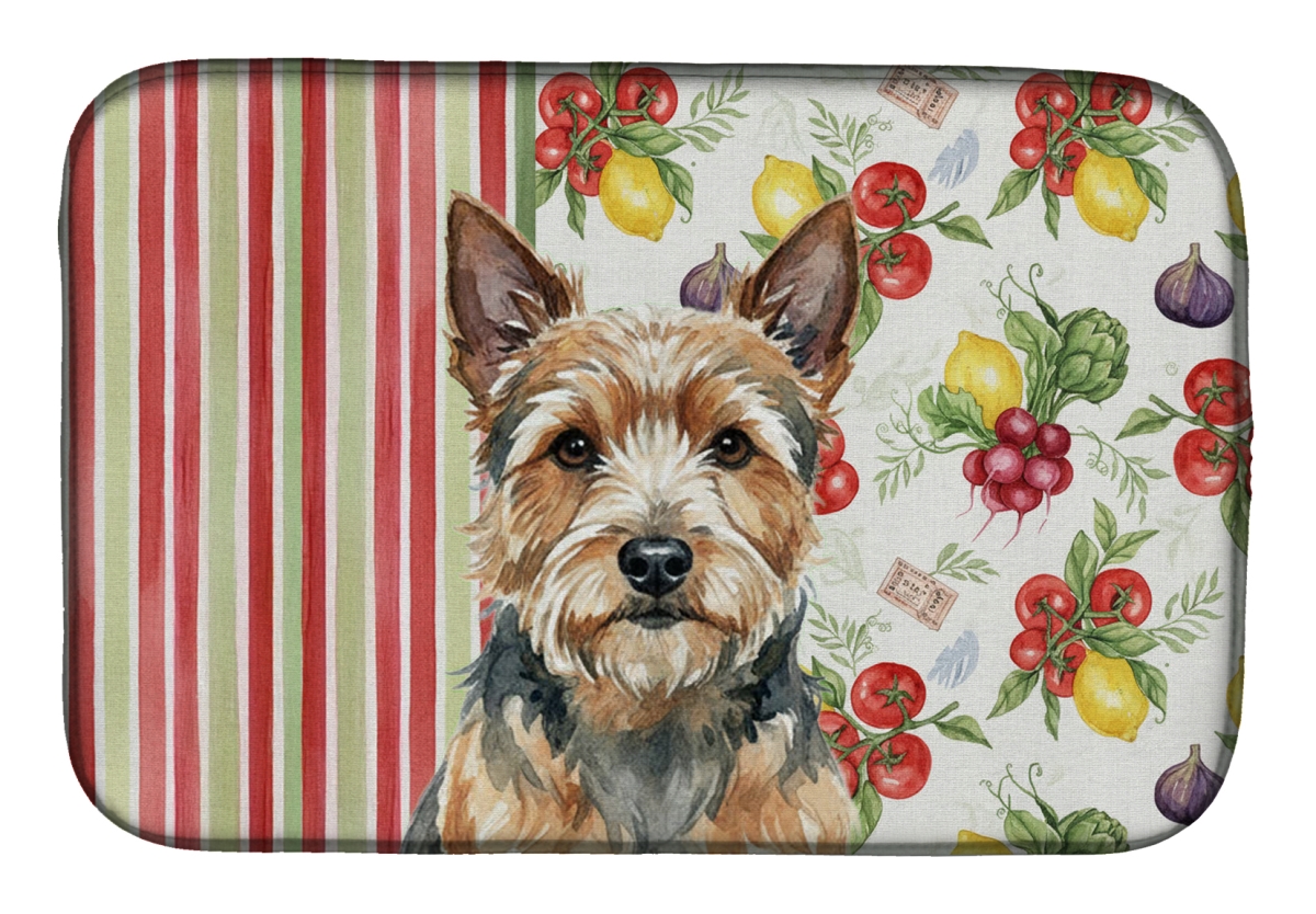 Picture of Carolines Treasures WDK8333DDM 21 x 14 in. Norwich Terrier Vegetables Dish Drying Mat
