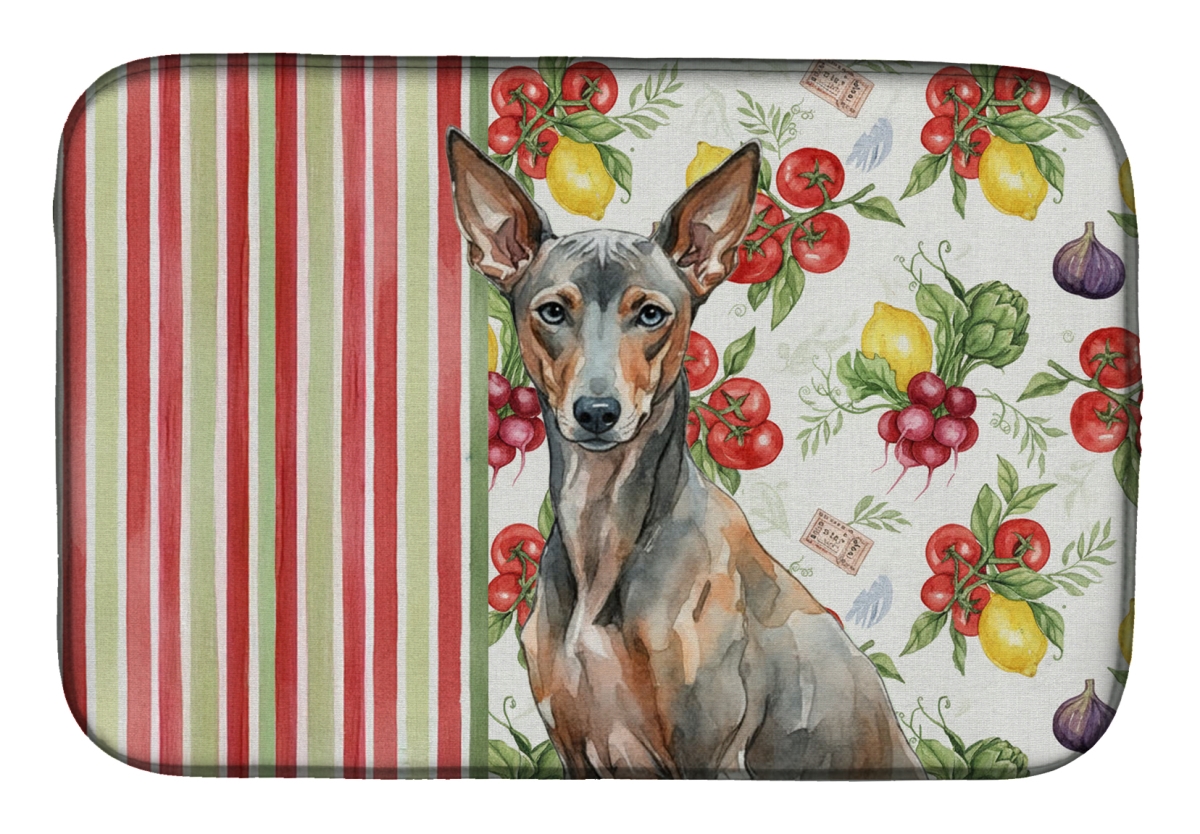 Picture of Carolines Treasures WDK8461DDM 21 x 14 in. Xoloitzcuintli Vegetables Dish Drying Mat