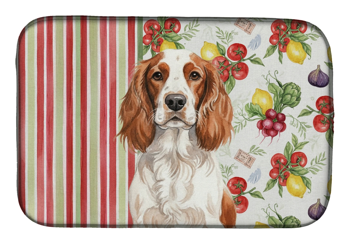 Picture of Carolines Treasures WDK8448DDM 21 x 14 in. Welsh Springer Spaniel Vegetables Dish Drying Mat