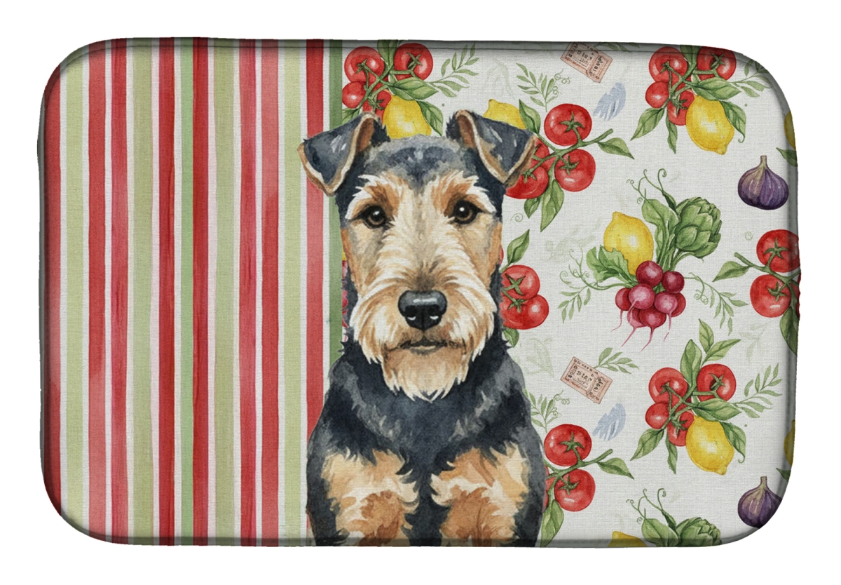 Picture of Carolines Treasures WDK8449DDM 21 x 14 in. Welsh Terrier Vegetables Dish Drying Mat