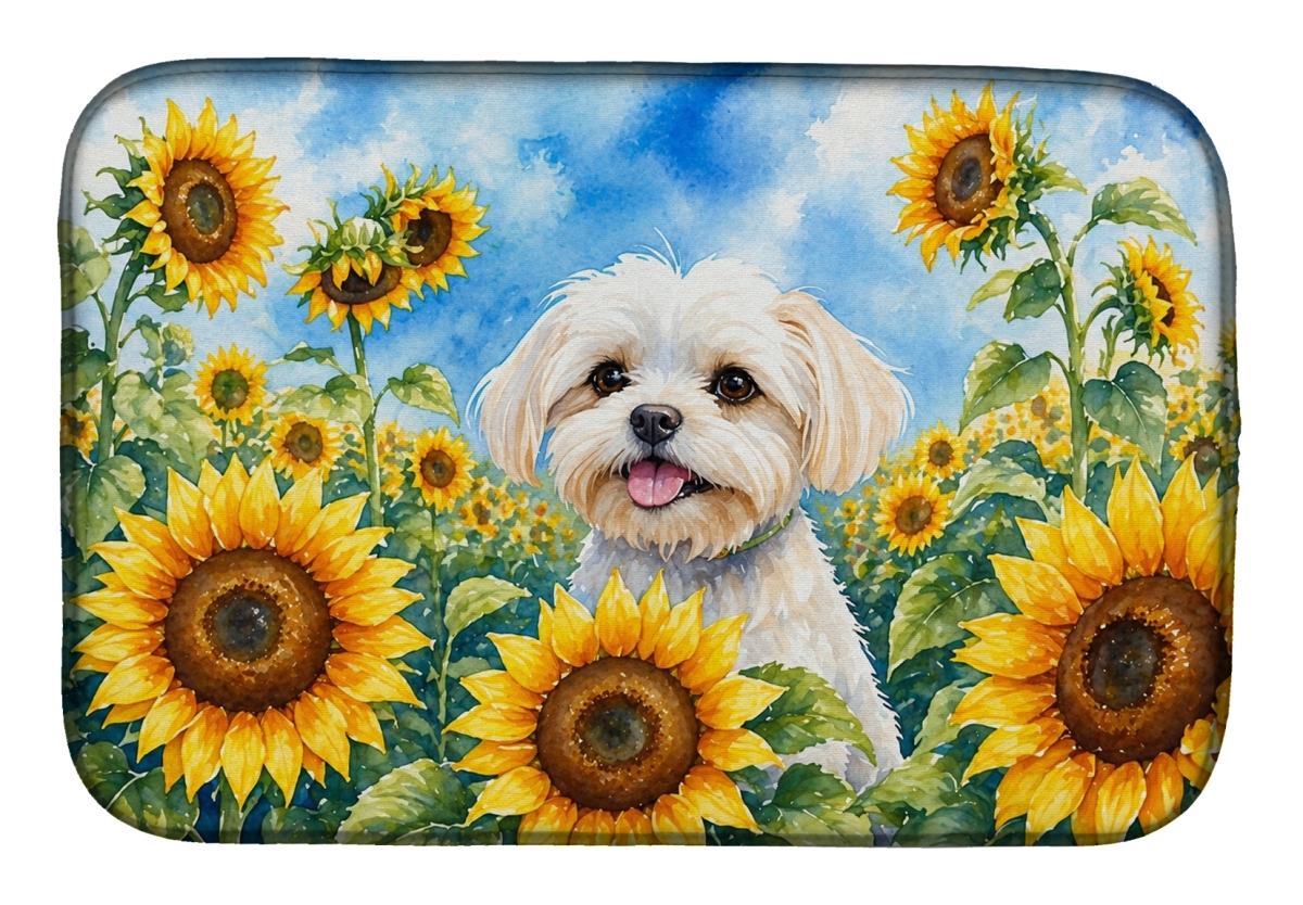 DAC6117DDM 21 x 14 in. Maltese in Sunflowers Dish Drying Mat