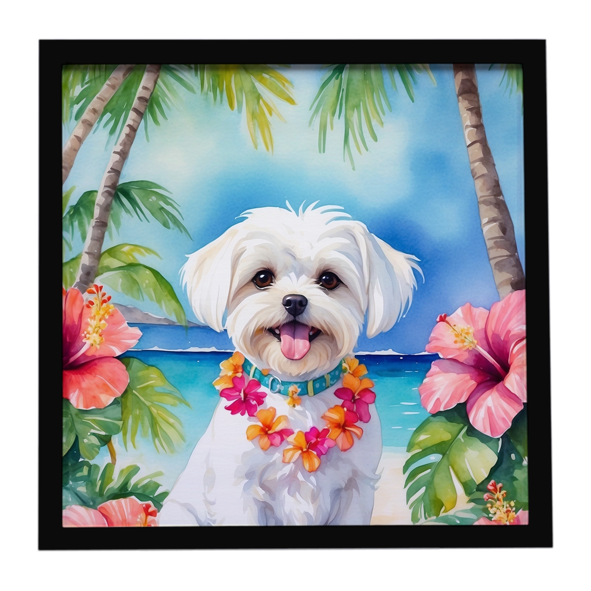 DAC6472MFP88 8 x 8 in. Maltese Luau Framed Metal Print