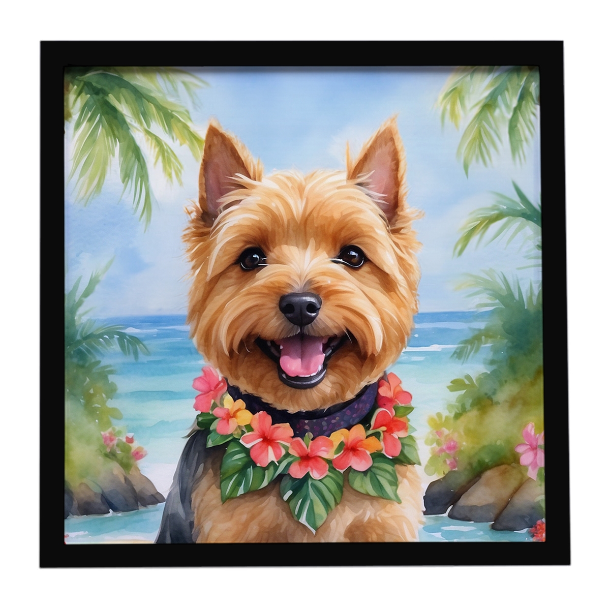 DAC6482MFP88 8 x 8 in. Norwich Terrier Luau Framed Metal Print