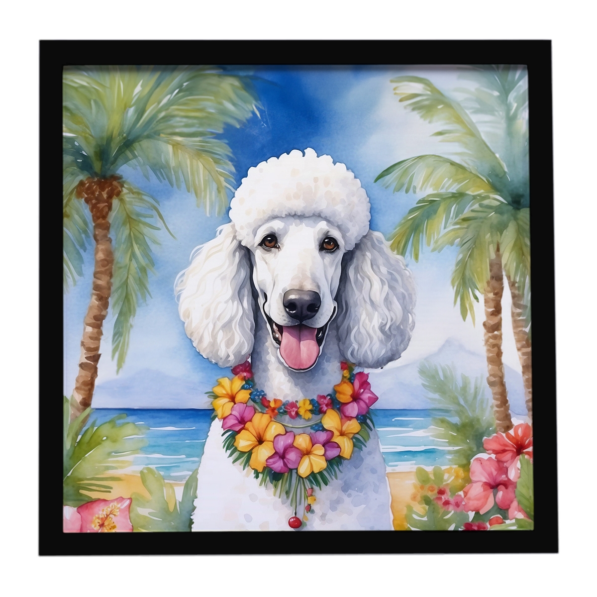 DAC6495MFP88 8 x 8 in. White Poodle Luau Framed Metal Print