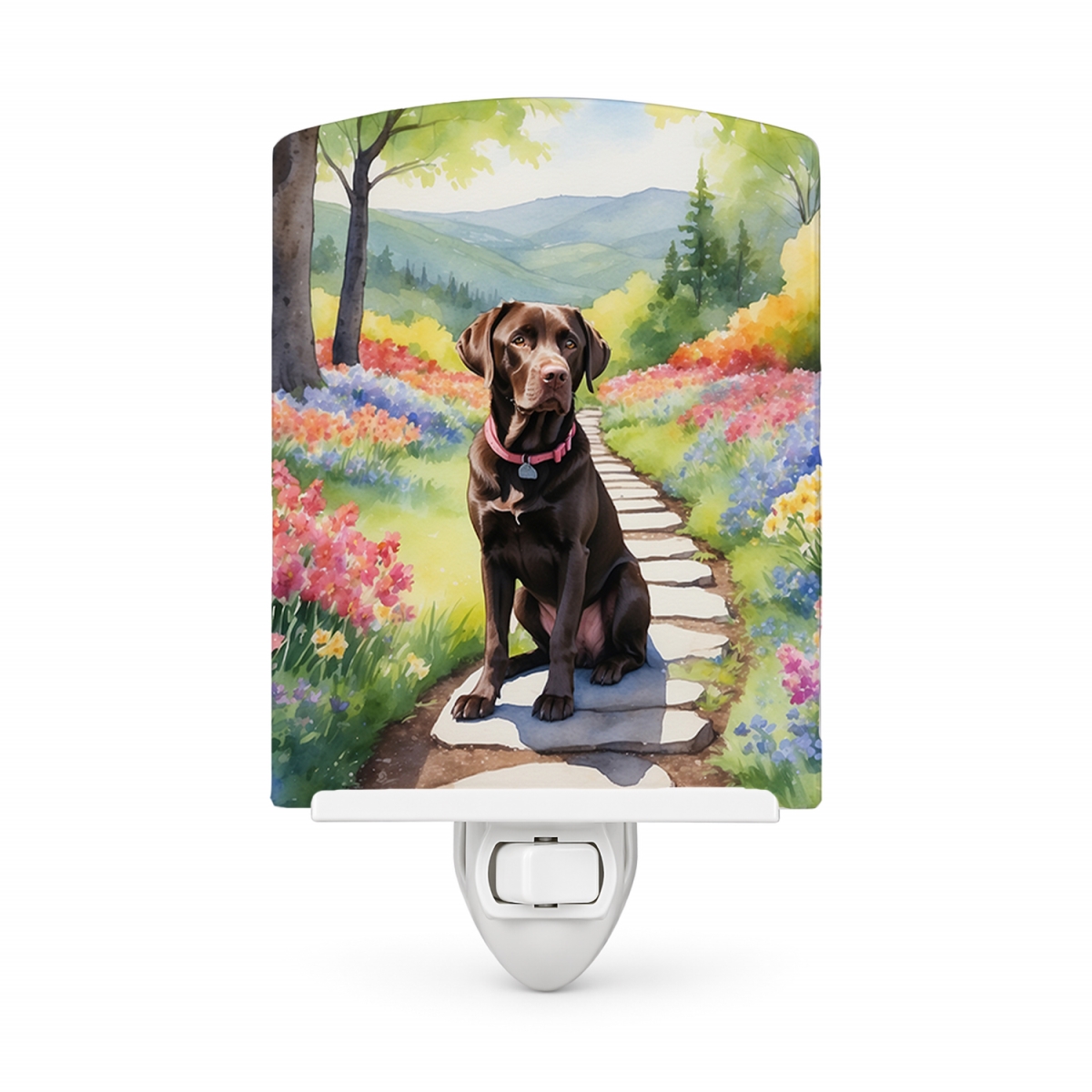 DAC6663CNL 6 x 4 in. Labrador Retriever Spring Path Ceramic Night Light