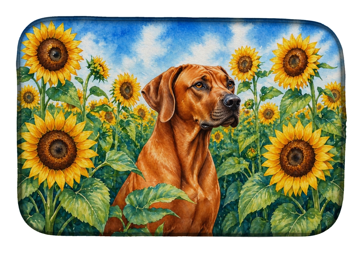 DAC6149DDM 21 x 14 in. Rhodesian Ridgeback in Sunflowers Dish Drying Mat