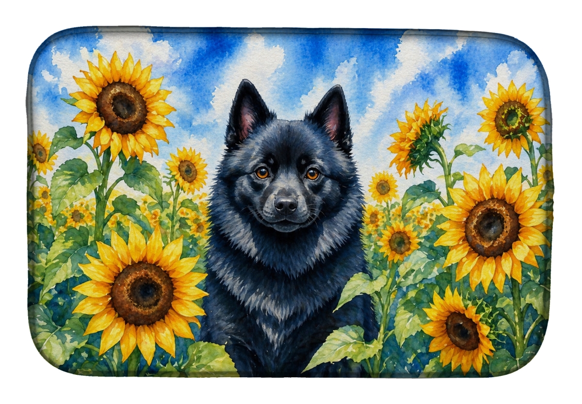 DAC6155DDM 21 x 14 in. Schipperke in Sunflowers Dish Drying Mat