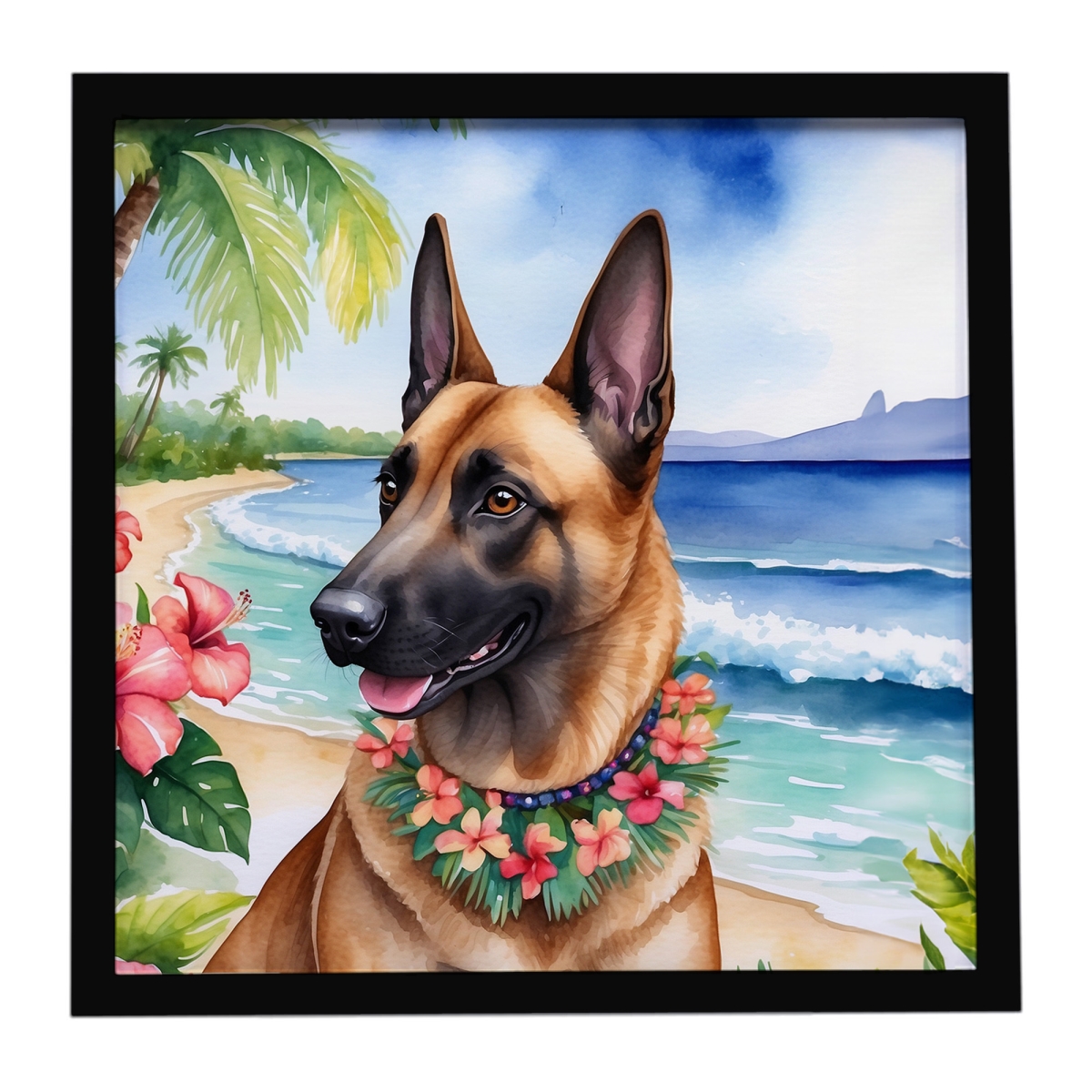 DAC6366MFP88 8 x 8 in. Belgian Malinois Luau Framed Metal Print