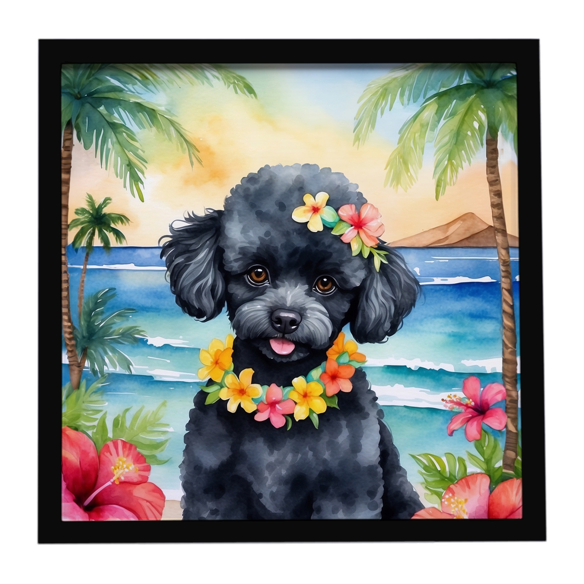 DAC6498MFP88 8 x 8 in. Black Poodle Luau Framed Metal Print