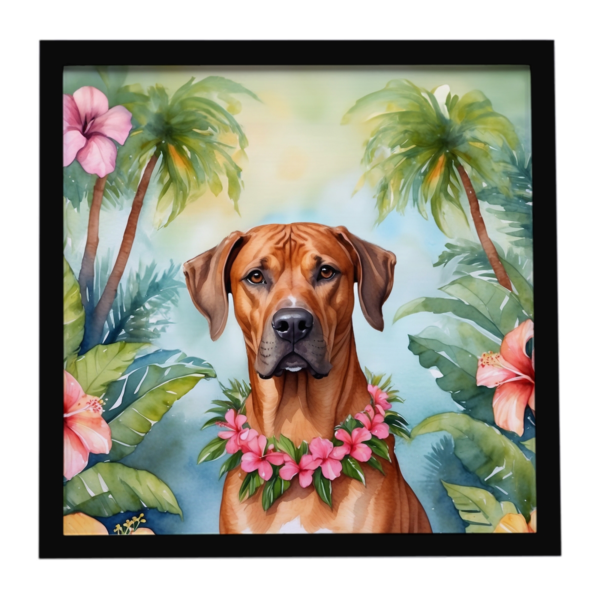 DAC6507MFP88 8 x 8 in. Rhodesian Ridgeback Luau Framed Metal Print