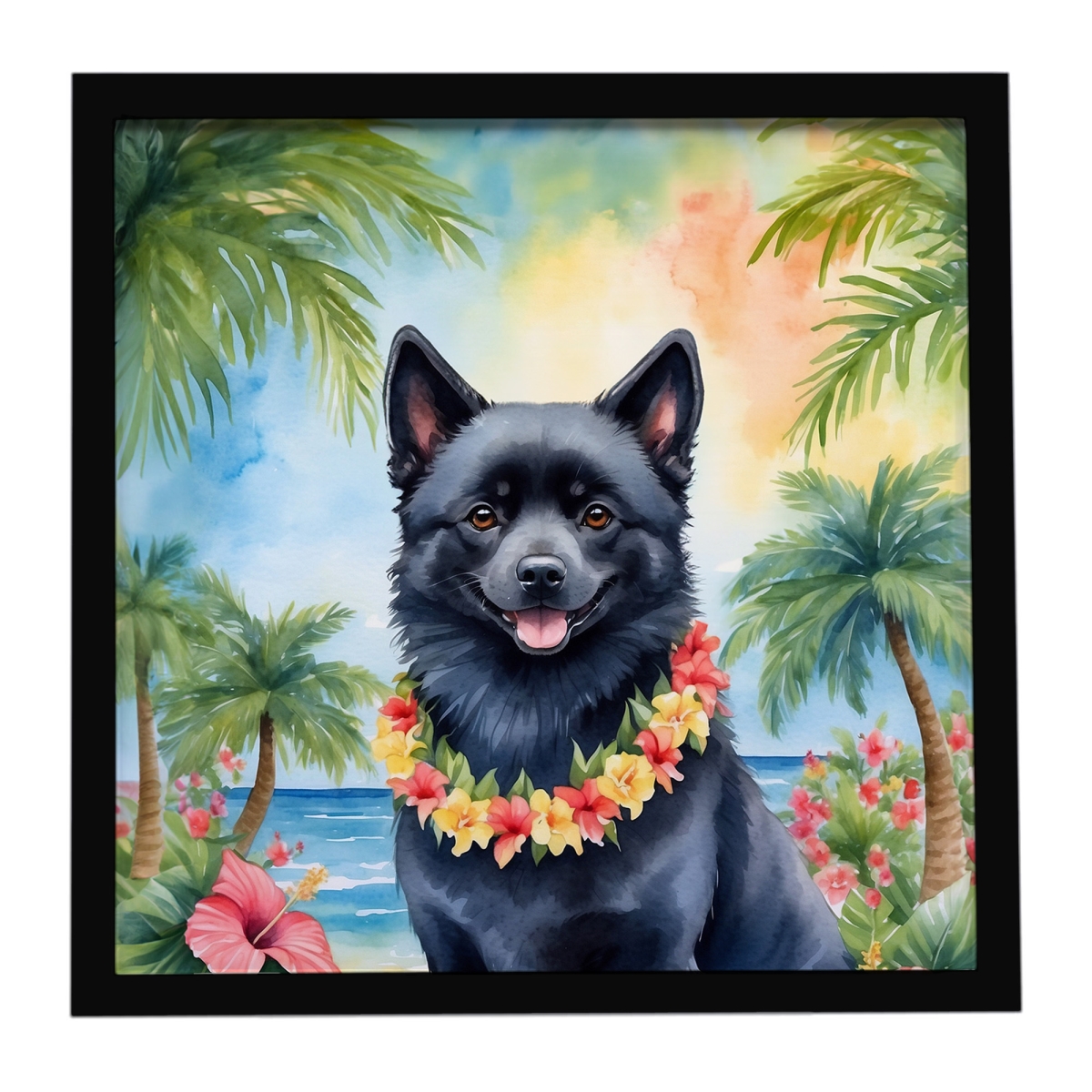 DAC6513MFP88 8 x 8 in. Schipperke Luau Framed Metal Print