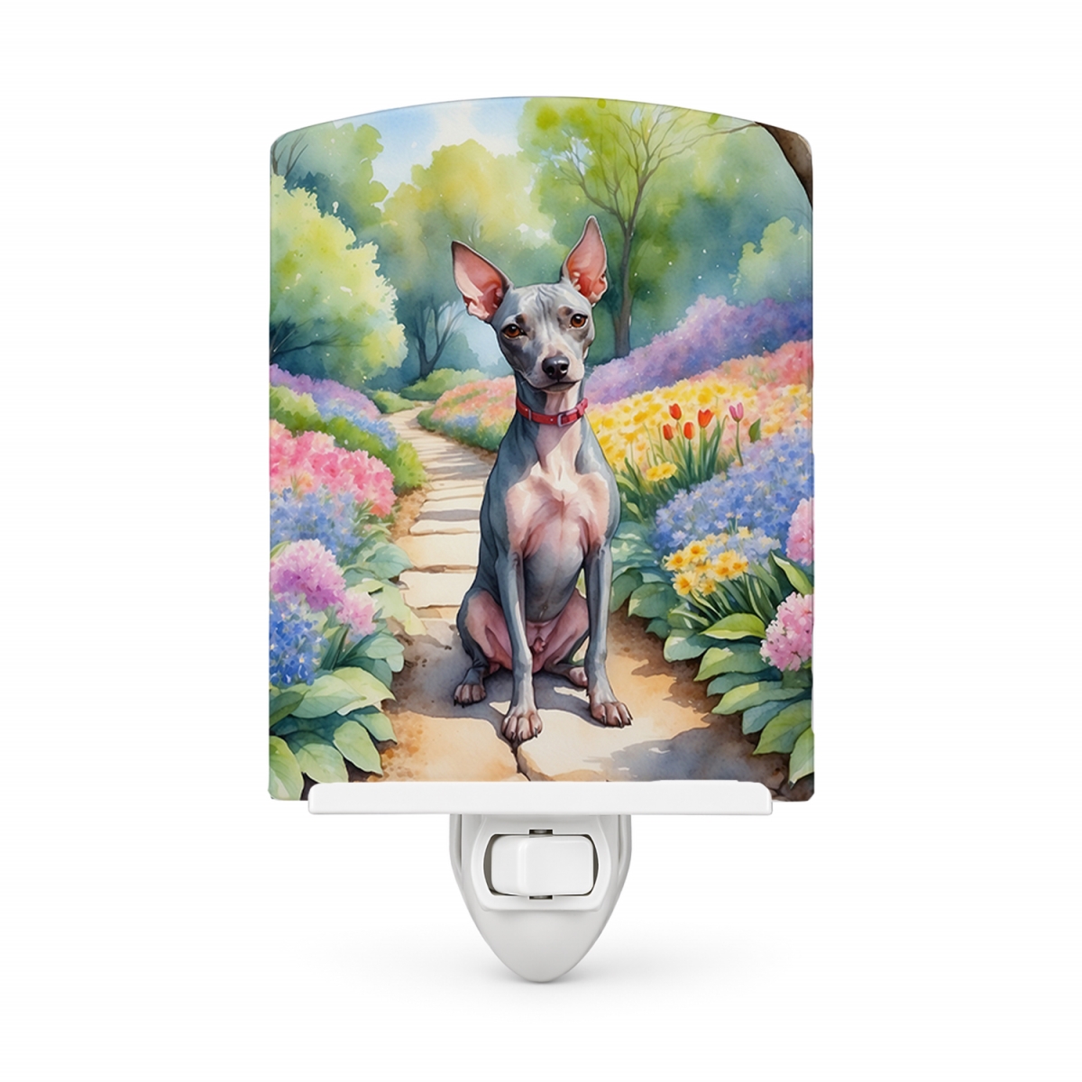 DAC6552CNL 6 x 4 in. American Hairless Terrier Spring Garden Ceramic Night Light