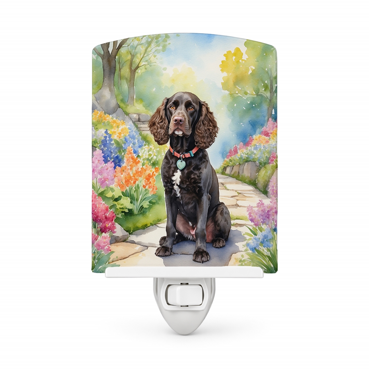 DAC6553CNL 6 x 4 in. American Water Spaniel Spring Garden Ceramic Night Light