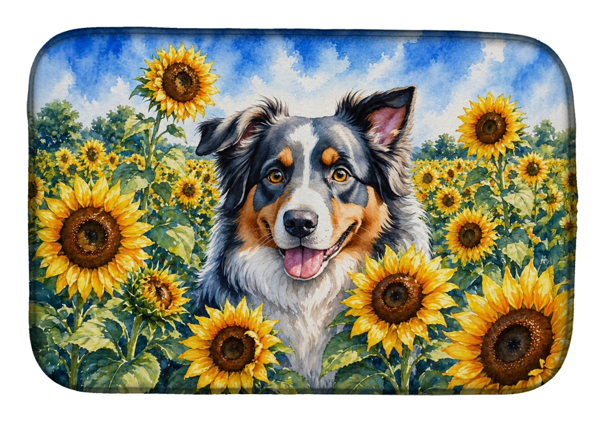 DAC6014DDM 21 x 14 in. Australian Shepherd in Sunflowers Dish Drying Mat