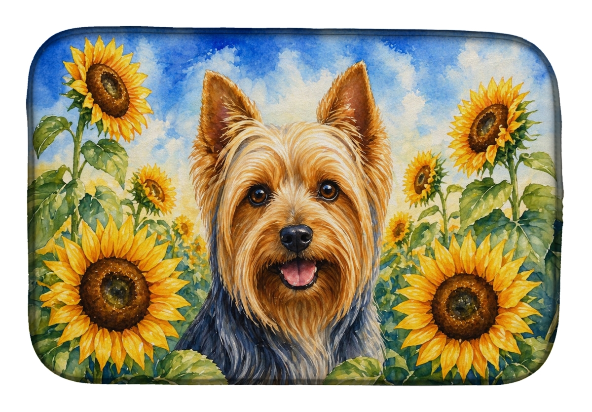 DAC6165DDM 21 x 14 in. Silky Terrier in Sunflowers Dish Drying Mat