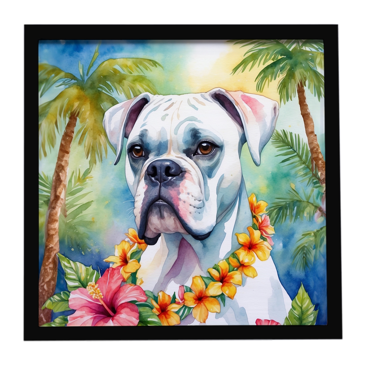DAC6386MFP88 8 x 8 in. White Boxer Luau Framed Metal Print