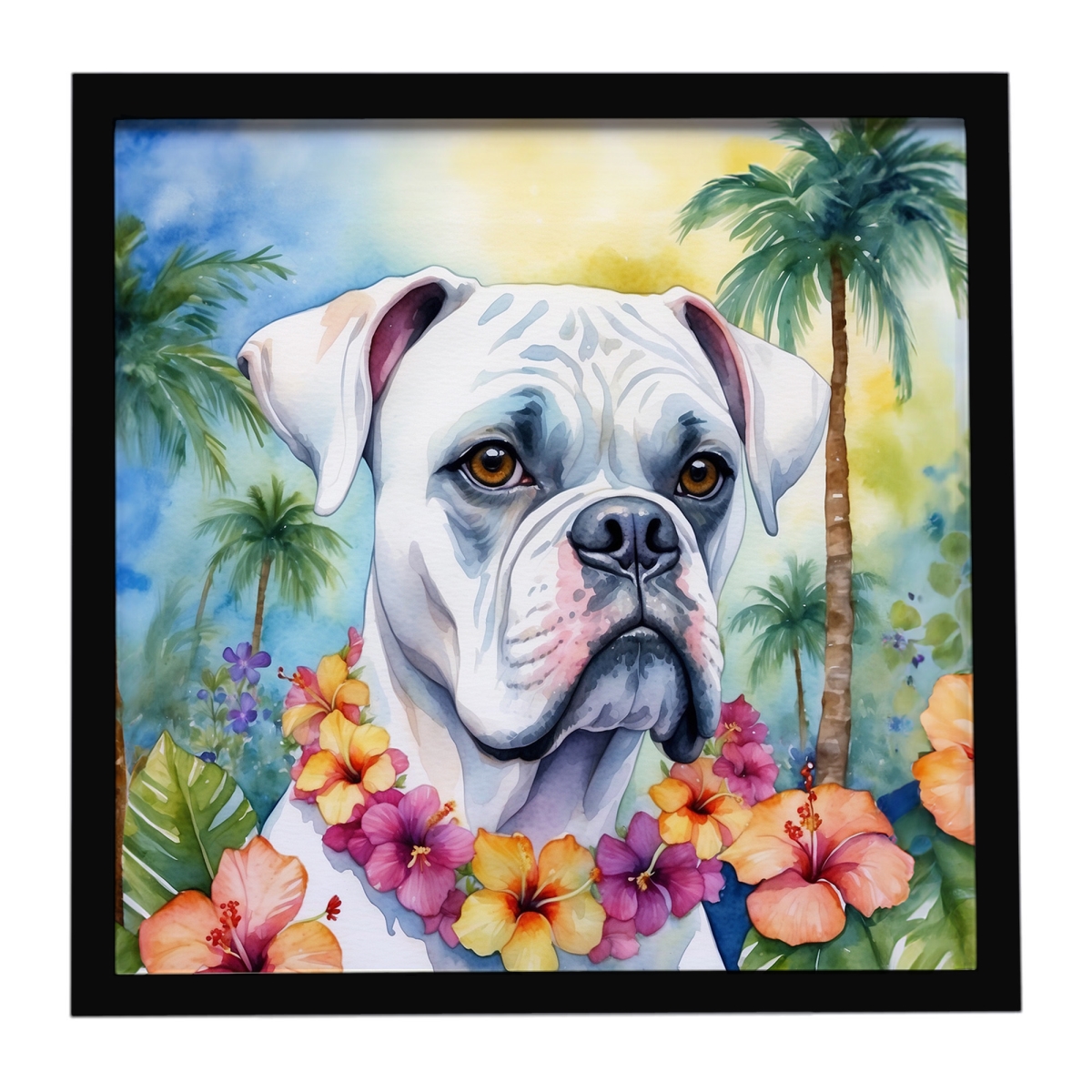 DAC6387MFP88 8 x 8 in. White Boxer Luau Framed Metal Print