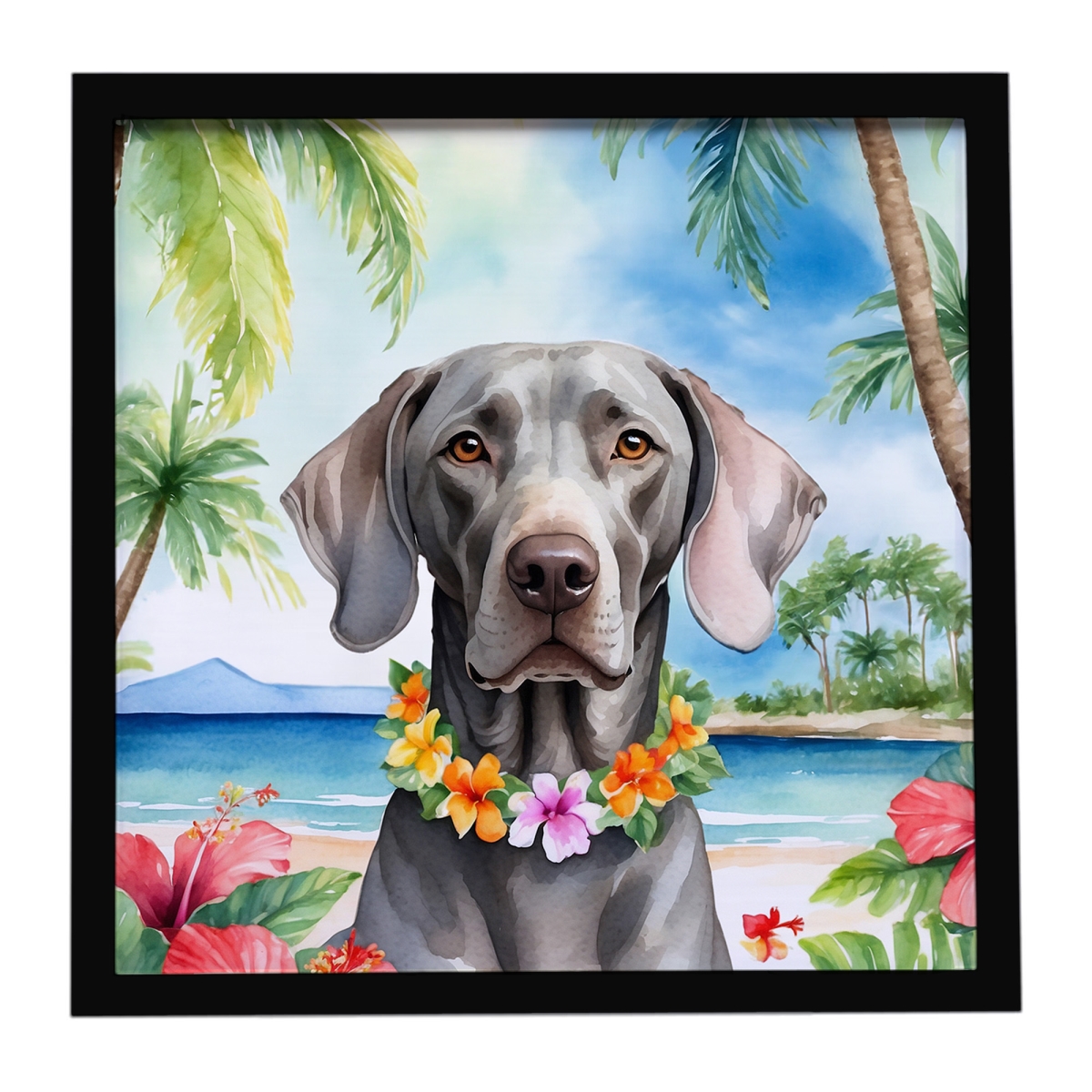 DAC6531MFP88 8 x 8 in. Weimaraner Luau Framed Metal Print