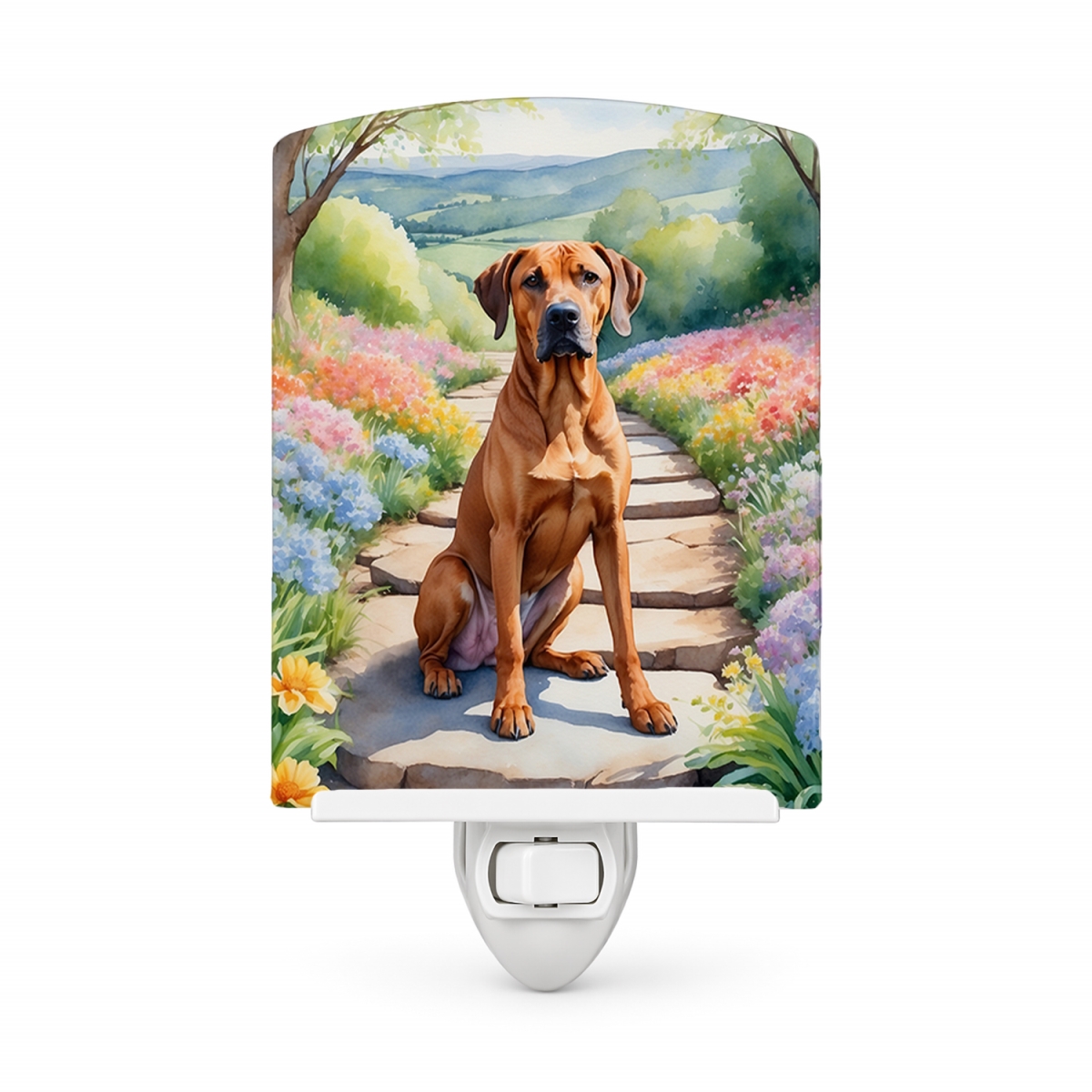 DAC6704CNL 6 x 4 in. Rhodesian Ridgeback Spring Path Ceramic Night Light