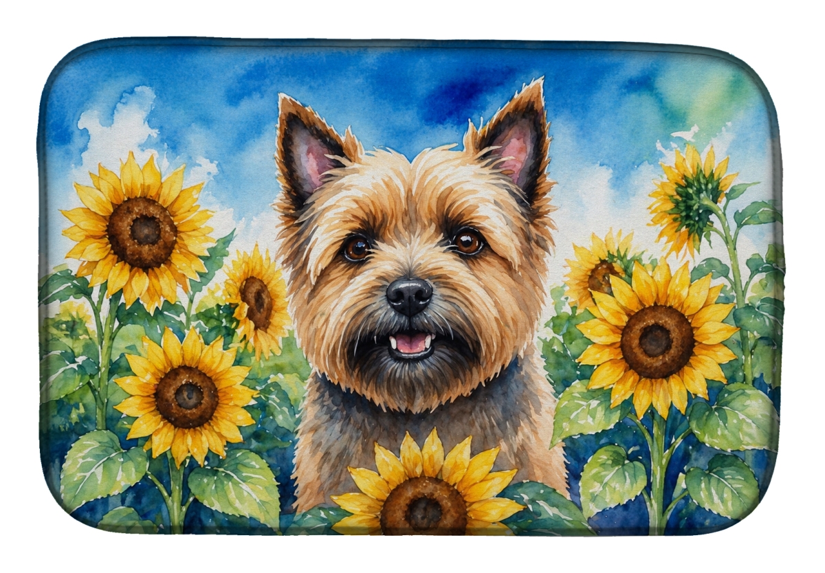 DAC6044DDM 21 x 14 in. Cairn Terrier in Sunflowers Dish Drying Mat