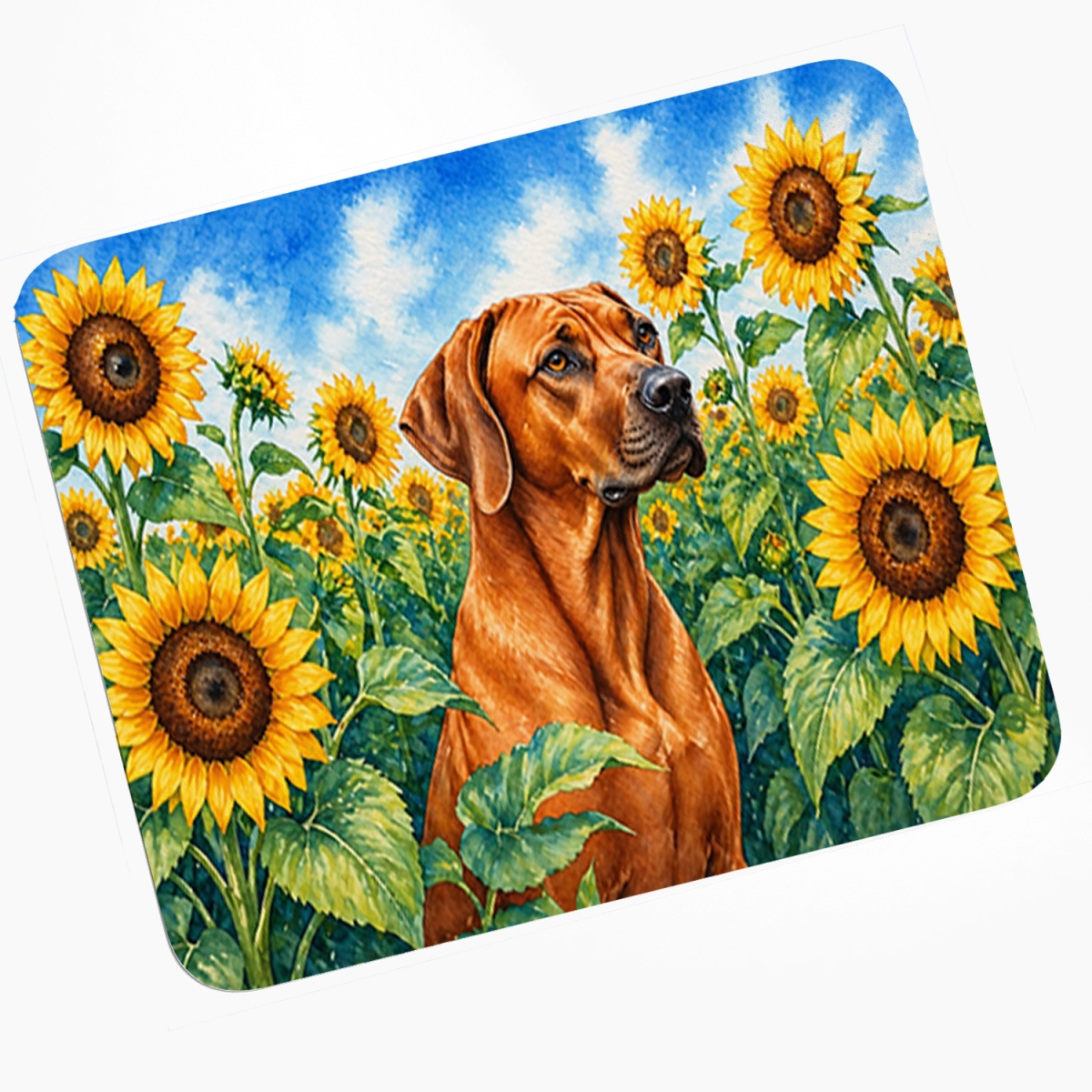 DAC6149MP 8 x 9.5 in. Rhodesian Ridgeback in Sunflowers Mouse Pad, Heat Resistant Trivet Hot Pad