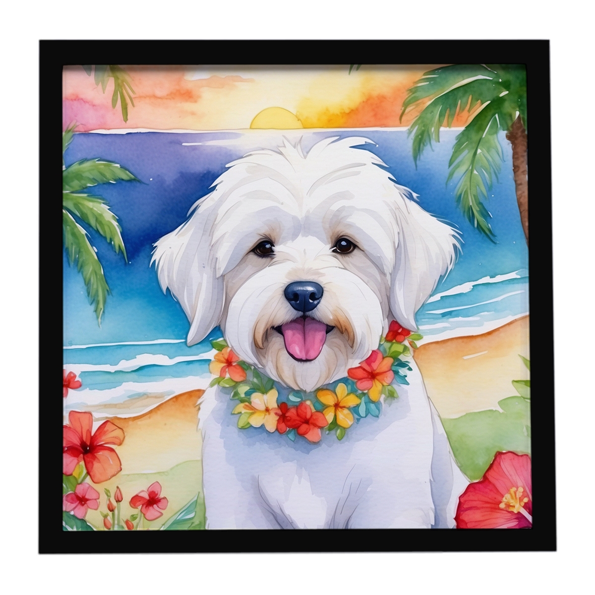 DAC6416MFP88 8 x 8 in. Coton De Tulear Luau Framed Metal Print