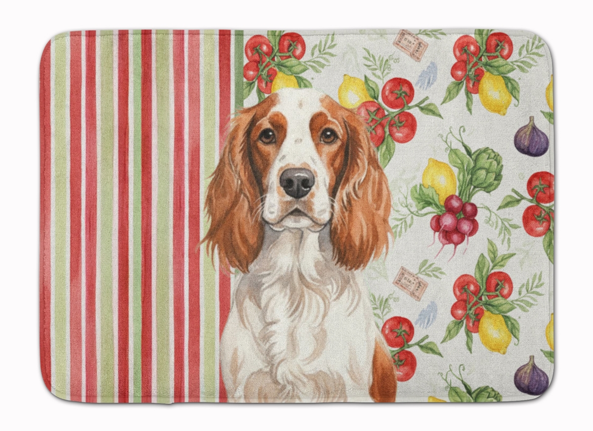 WDK8448RUG 19 x 27 in. Welsh Springer Spaniel Vegetables Memory Foam Kitchen Mat