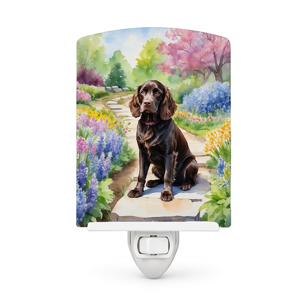 DAC6583CNL 6 x 4 in. Boykin Spaniel Spring Path Ceramic Night Light