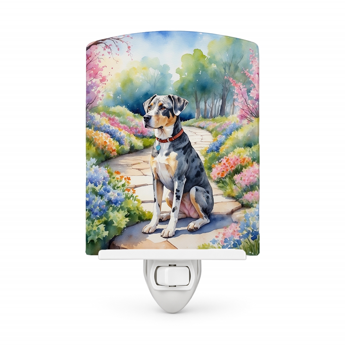 DAC6592CNL 6 x 4 in. Catahoula Spring Path Ceramic Night Light