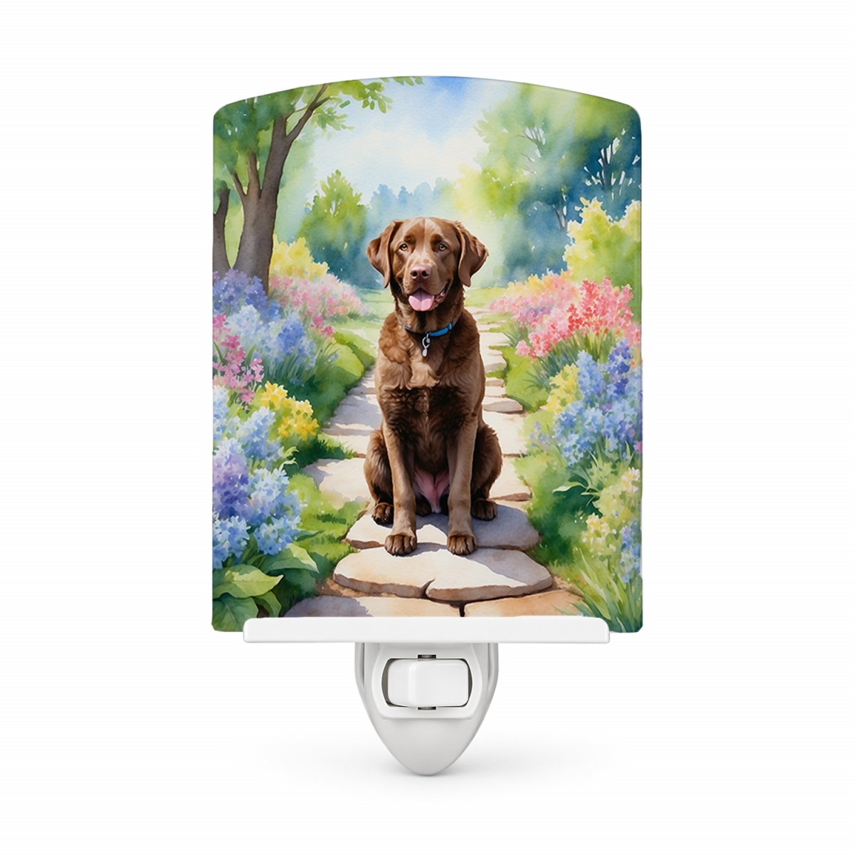 DAC6595CNL 6 x 4 in. Chesapeake Bay Retriever Spring Path Ceramic Night Light