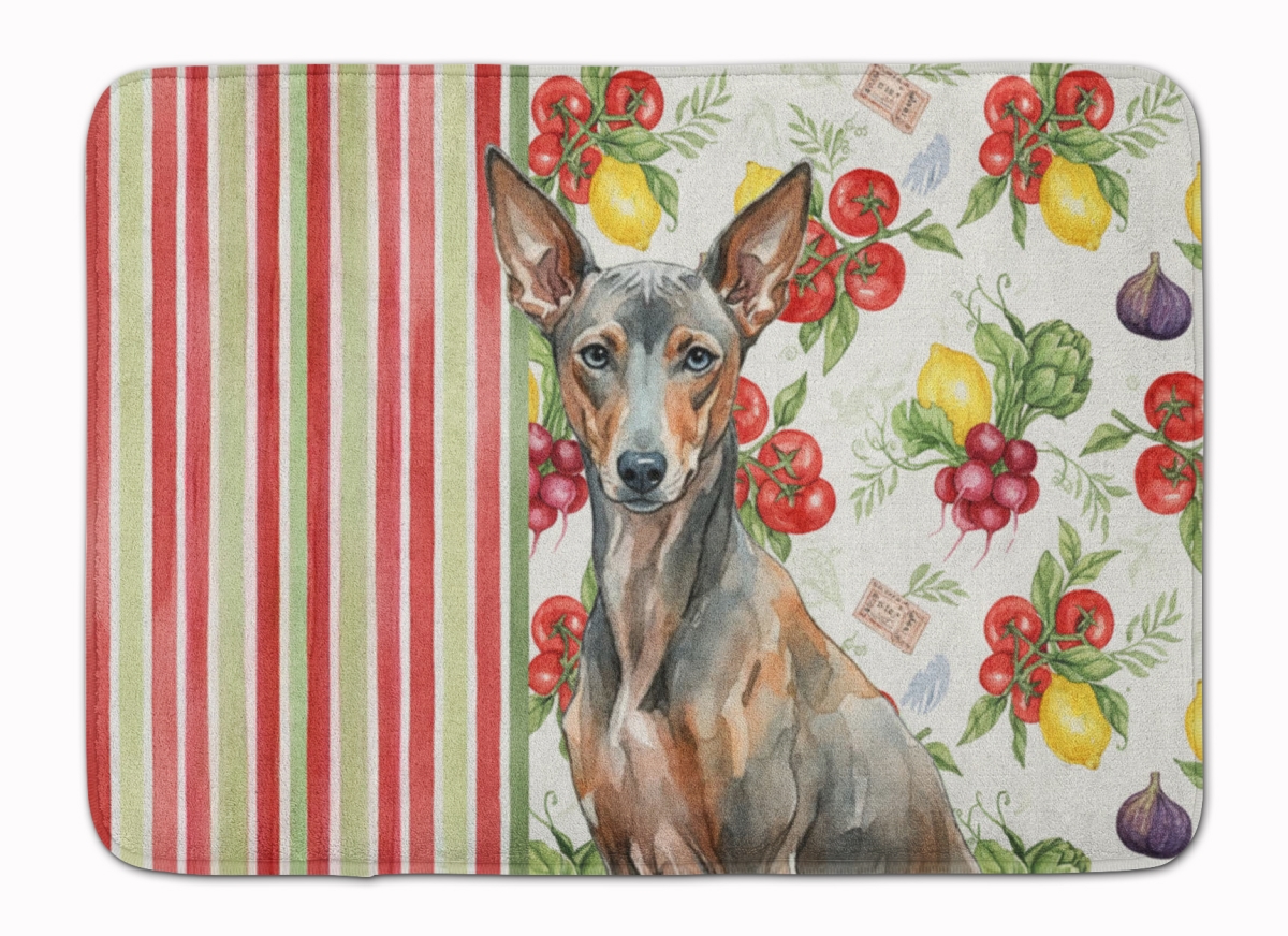 WDK8461RUG 19 x 27 in. Xoloitzcuintli Vegetables Memory Foam Kitchen Mat