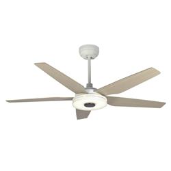 Picture of Carro VS525S-L13-W6-1 Elira 52 in. Indoor & Outdoor Smart Ceiling Fan with Dimmable LED Light Kit&#44; Remote Control & Works